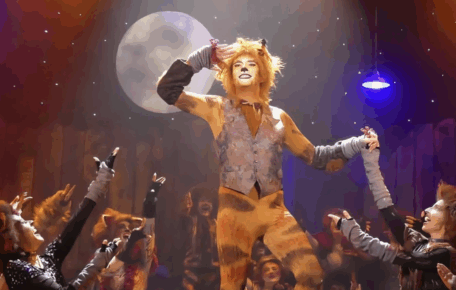 A smiling ginger cat stands amongst the rest of the cats cast.